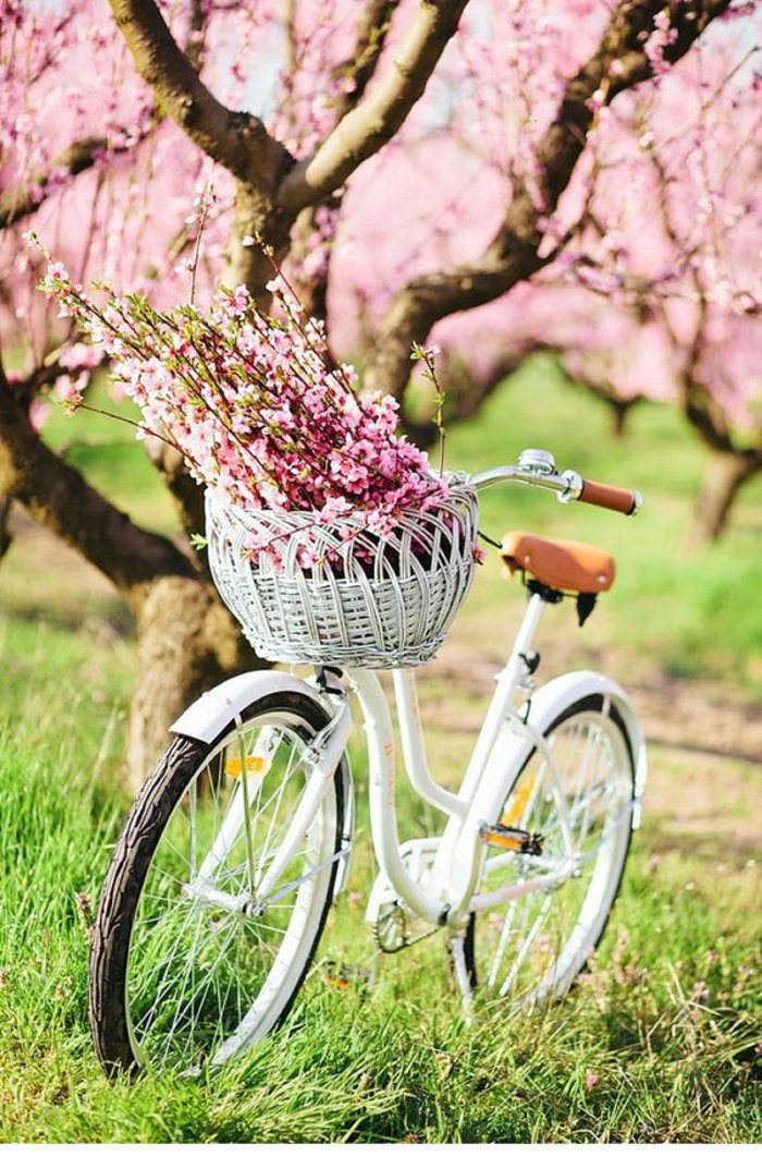 10 אופניים וינטאג הטריה ספרינג תמונה עם פרחים ורודים