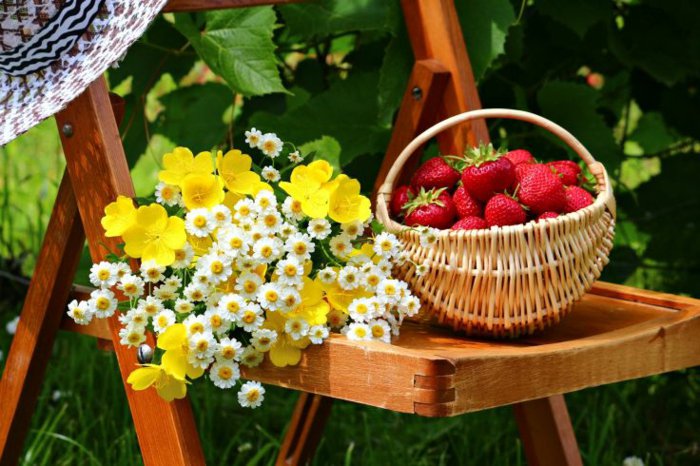 6 Basket mansikoita ja keltaisia ​​kukkia