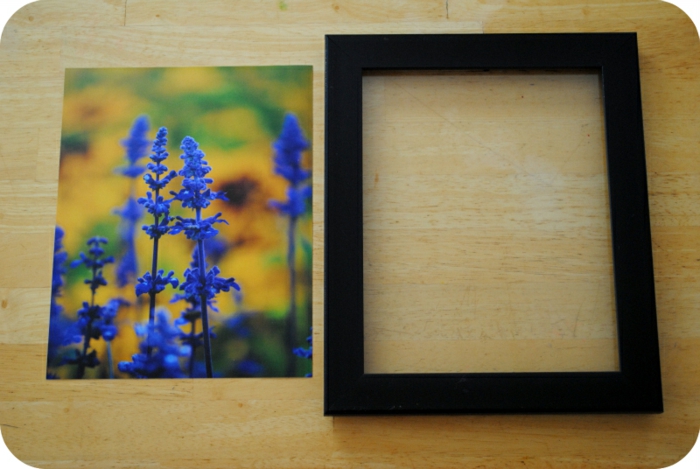 جعل إطار الصورة نفسك ، صور مع الزهور الزرقاء