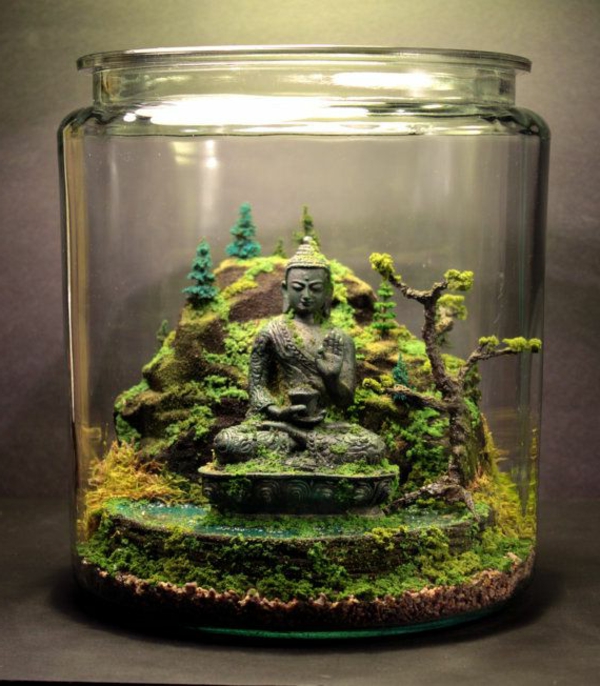 buddhan patsas kauniissa terrariumissa