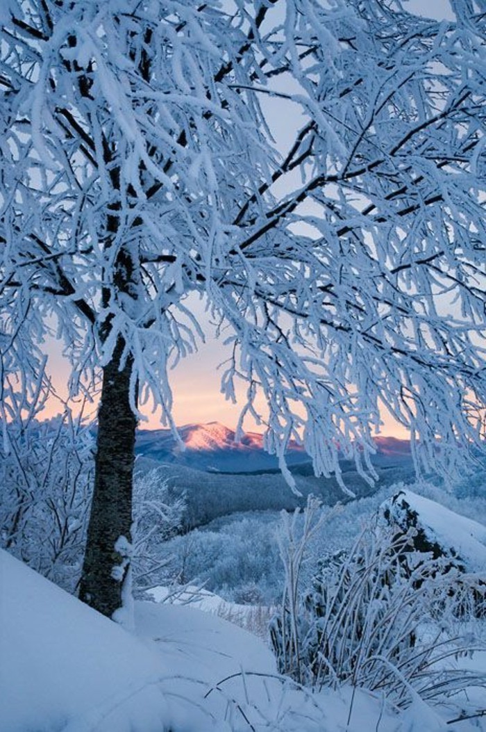瞭望台上的阿尔卑斯山覆盖，用雪浪漫的冬季图像