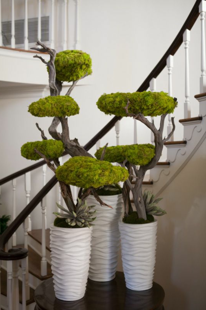 装饰天花板，苔藓bonsei树与 - moss-