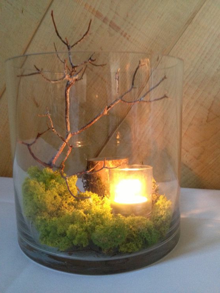 装饰苔-A-windlicht与 - 苔藓两个和蜡烛