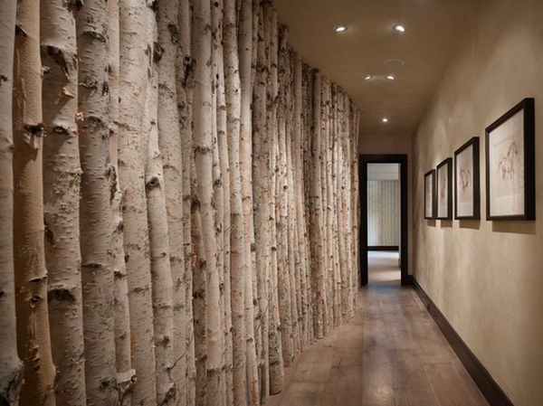 饰品 - 从 - 桦树树干在地板概念