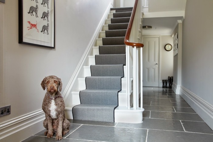 霍尔化妆瓷砖功能于走廊，一个狗