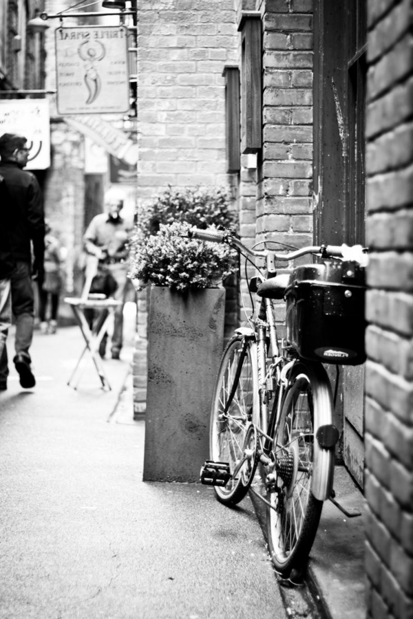 אופניים רחוב הפרחים