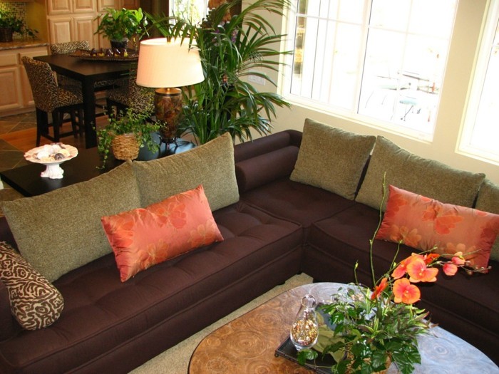 Feng Shui sala de estar con sofá marrón