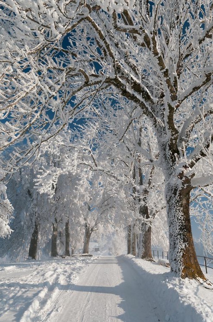 摄影与冬季图案大气雪动机在雪地行走
