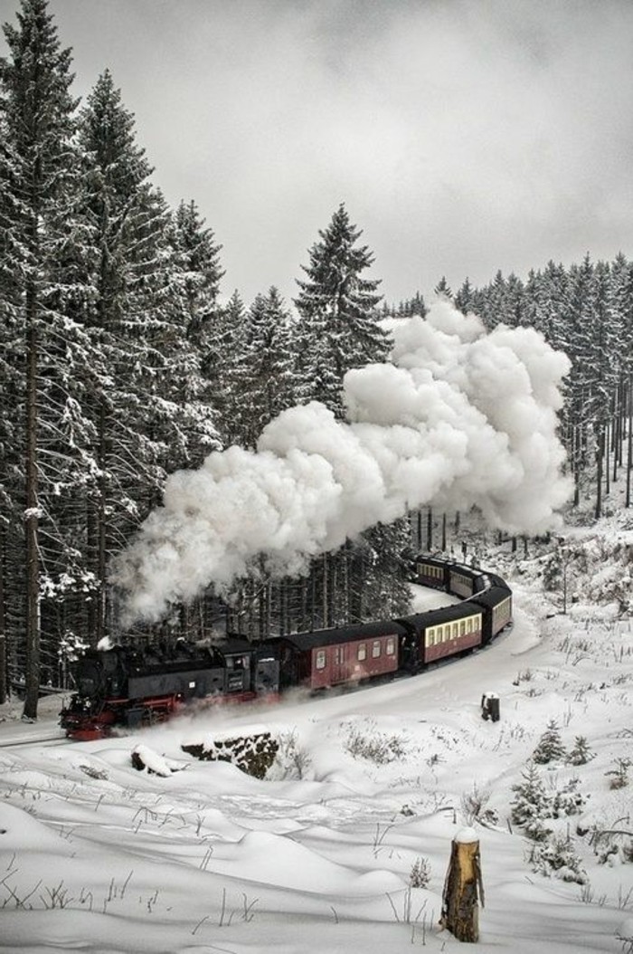摄影与 - 冬季主题和浪漫的冬季景观图片
