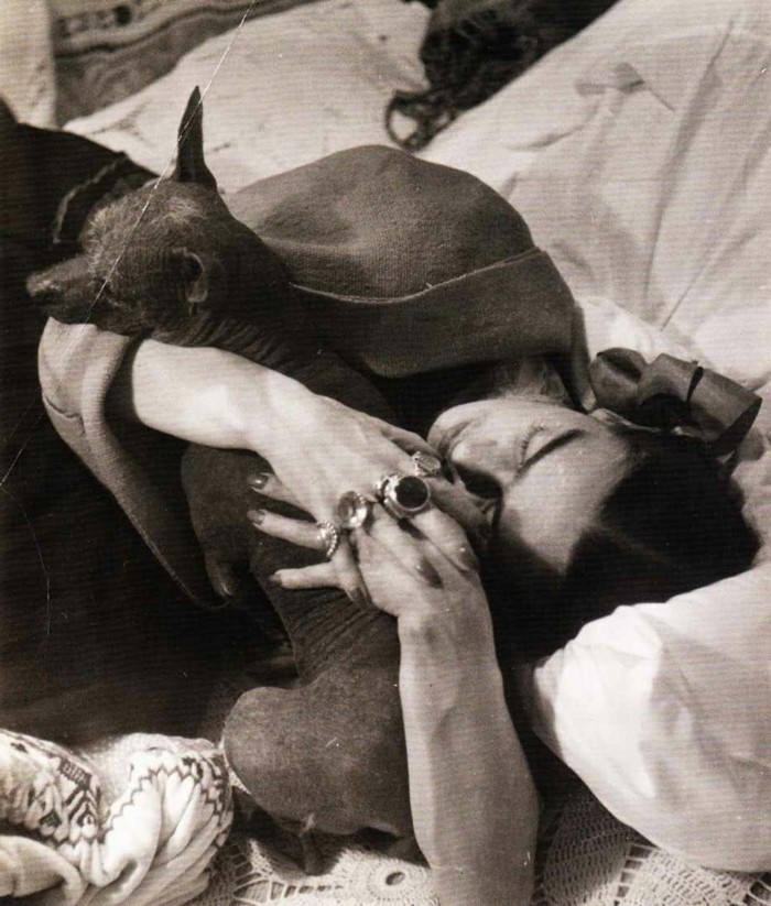 Frida Khlo mascotas exóticas-Dog Abrazo