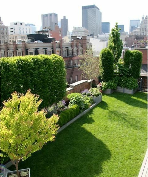 Κήπος Βεράντα με γκαζόν και δέντρα