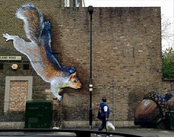 Bâtiment graffiti mur de briques écureuil dessin drôle Acorn
