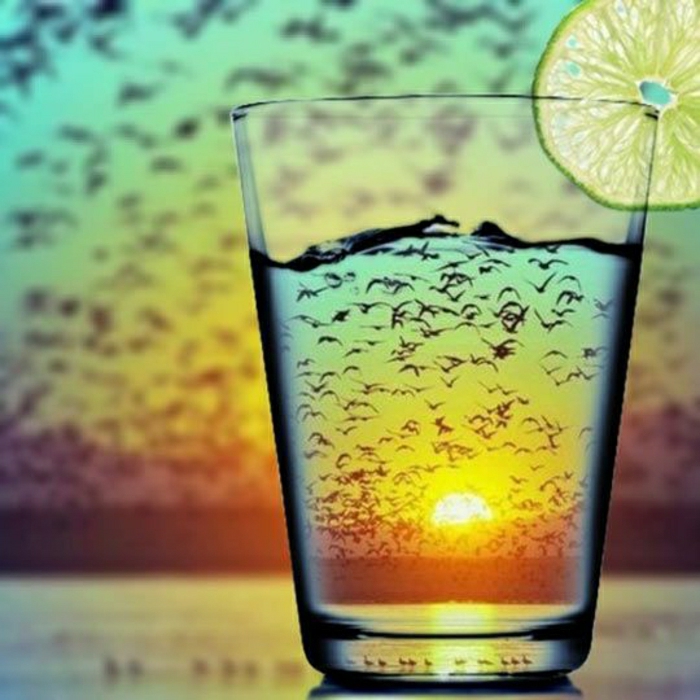 صور باردة شراب الليمون سرب من الطيور الغروب