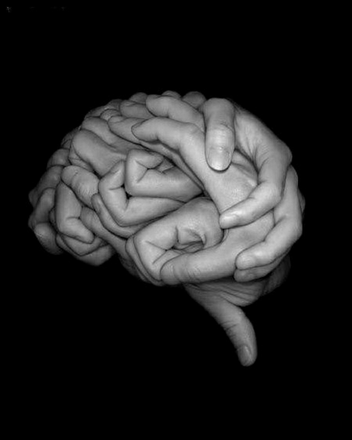 हाथों मस्तिष्क आकार