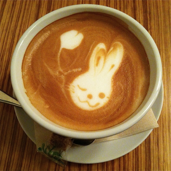 कॉफी बनाने खरगोश-इन