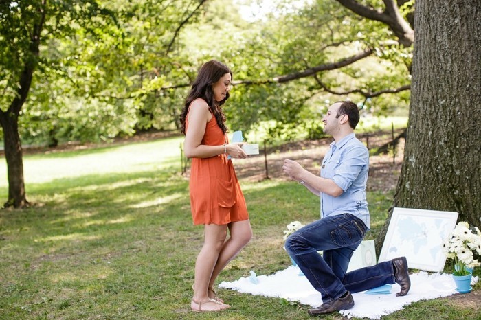 विवाह प्रस्ताव विचार-इन-द-पार्क