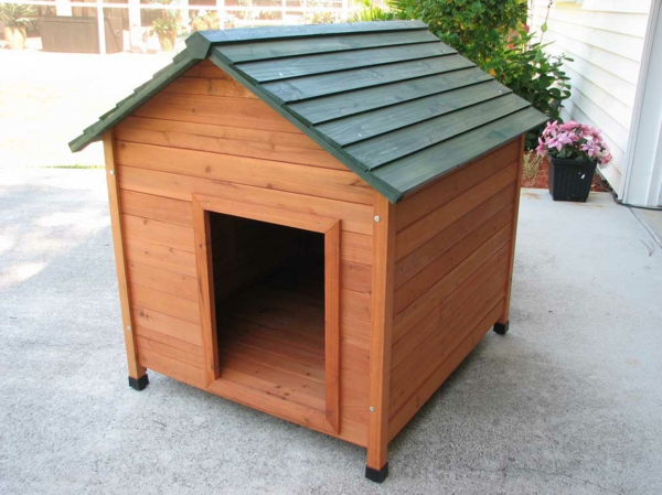 विचारों छत-खुद बनाने के साथ कुत्ता घर