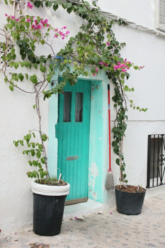 Ibiza Spain-тюркоазено-цветна врата Alt-ретро ретро-розови цветя