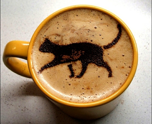 Кафе-оригинално изображение-черна котка