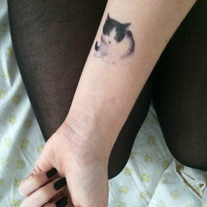 小纹身现实的猫