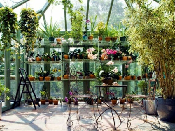faire table des chaises en métal Fleur-conservatory- plantes d'intérieur