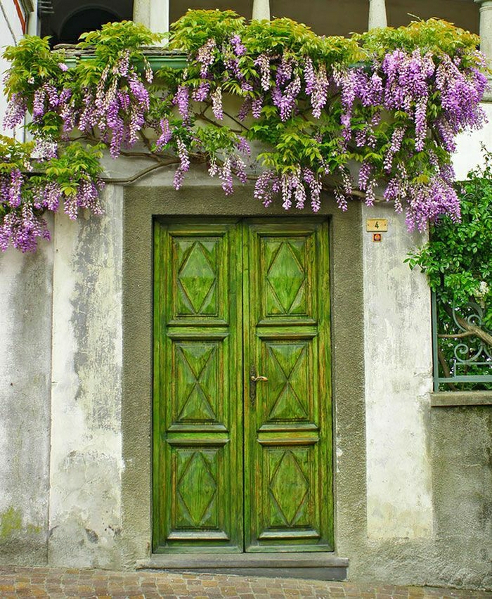 Piamonte Италия врати врата ретро-зелени цветя