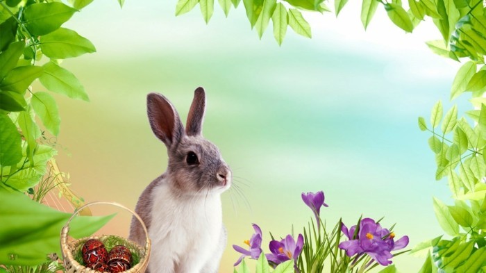 טפטים-עם-ארנב הפסחא יפה ופרחים