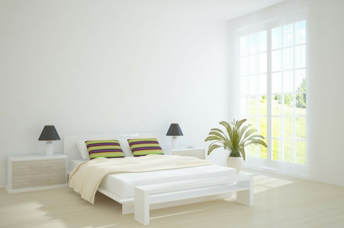 卧室用棕榈树风水