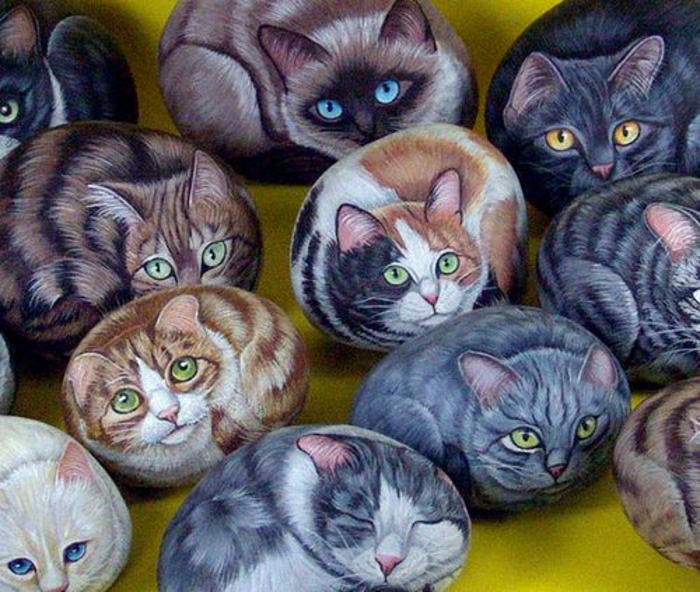 אבנים צבועות חתול פרווה-עין בצבעים שונים