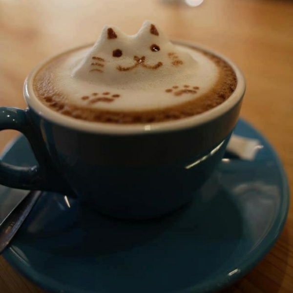 साथ-ए-बिल्ली फोम सजावट विचार से कॉफी के कप