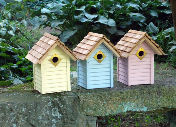 se alimentan las aves casas de bricolaje de decisiones colores pastel