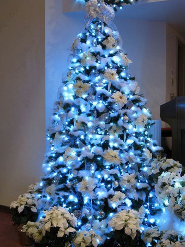 לבן, חג המולד, קישוט, יפה, חג המולד, עץ, כחול, תאורה