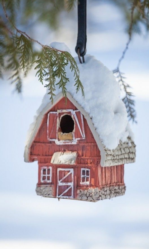 fourrage d'hiver Maison pour les oiseaux de bois Idée