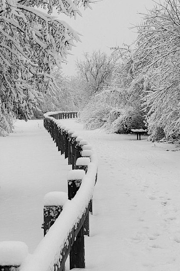 明尼苏达Wintermotive雪浪漫的冬季图像