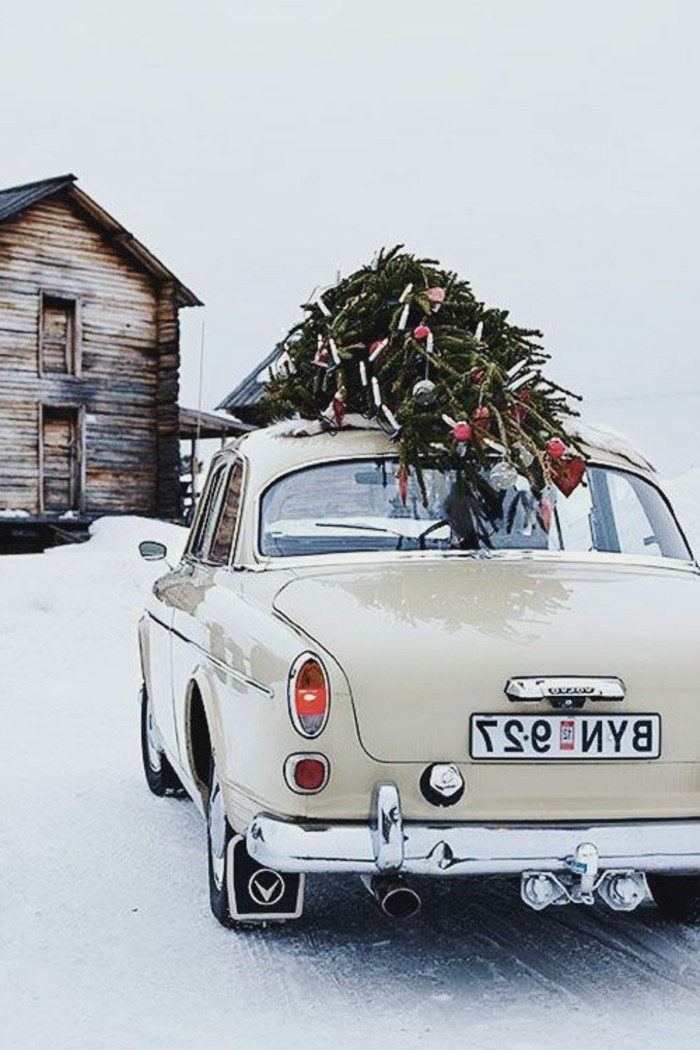 冬季图片圣诞经典模型沃尔沃坦南鲍姆