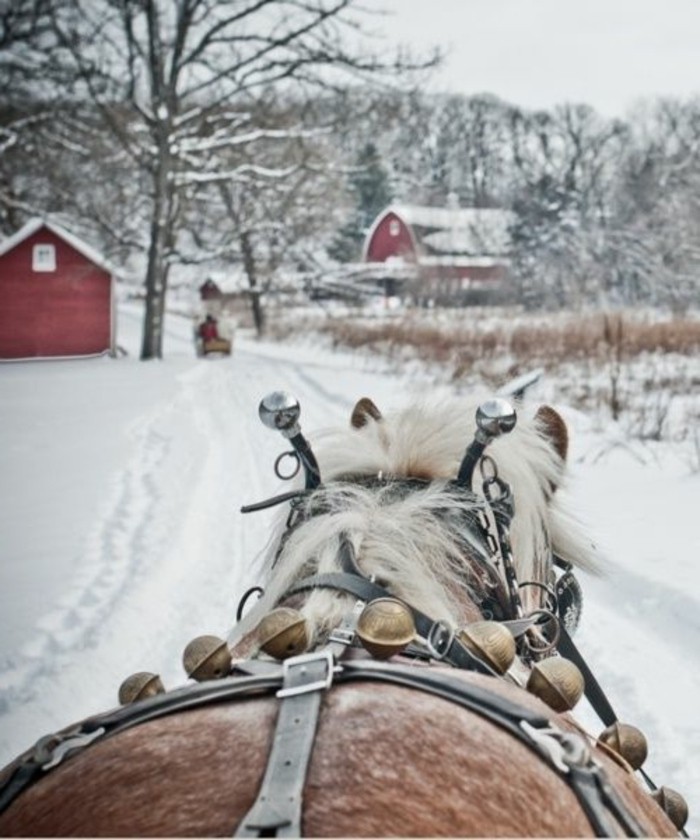 冬季图片冬季印象马由雪上