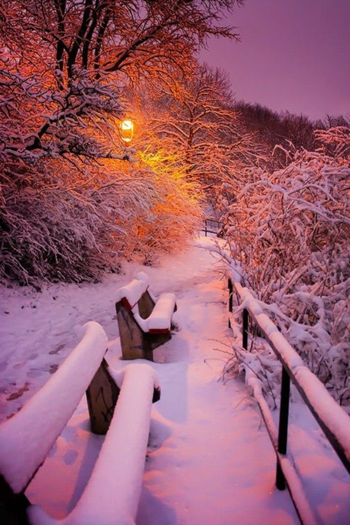 Winterimpression冬季景观图像和浪漫的气氛