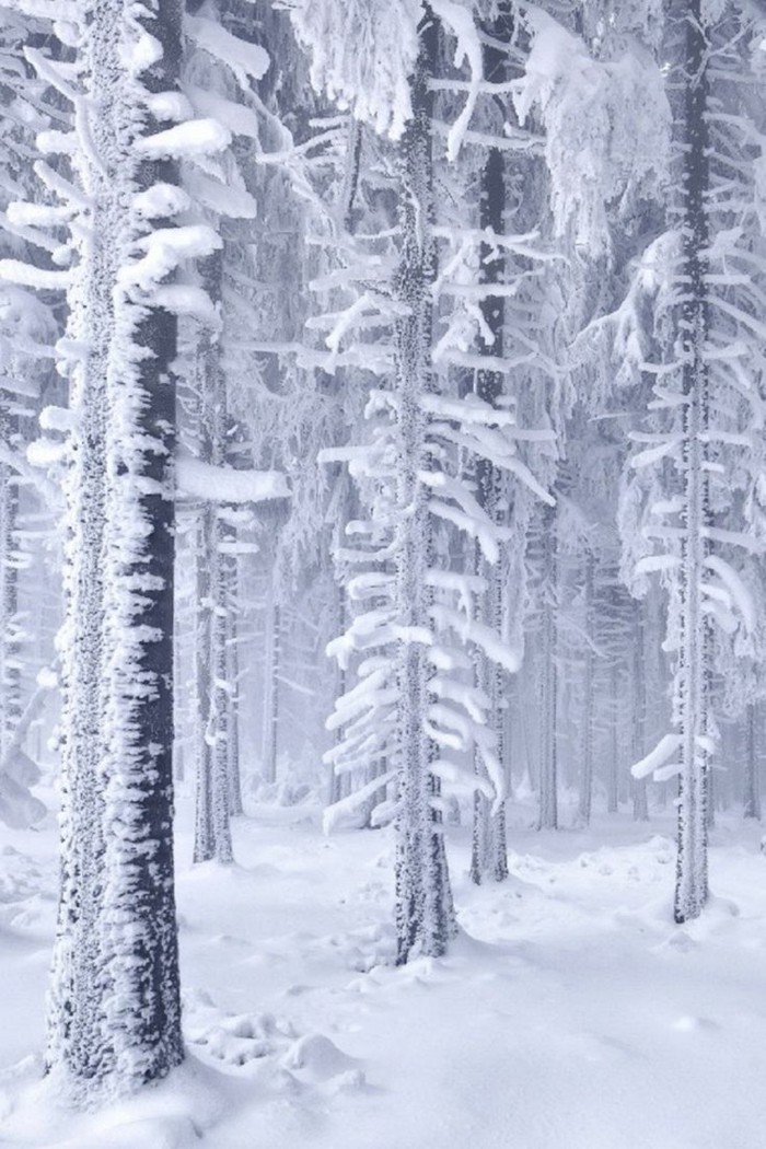 冬季景观的照片，照片与 - 冬季动机