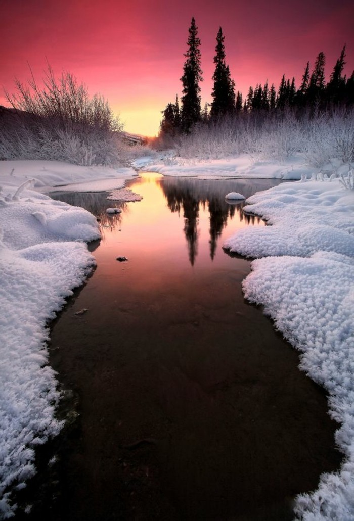 从阿拉斯加湖雪海岸日落冬季景观图片