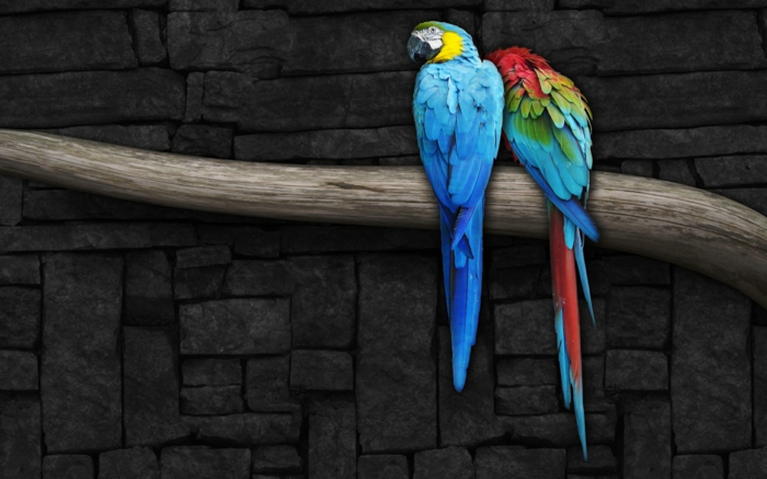 art abstrait à deux couleurs Parrot sur une branche d'arbre