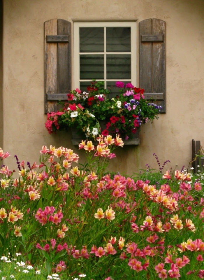 régi ház kertje szép virág Shutter Wood