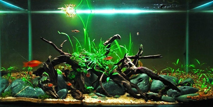 aquarium dispositif avec des pierres de sable-et Asten aquarium-aquarium-lumière faire