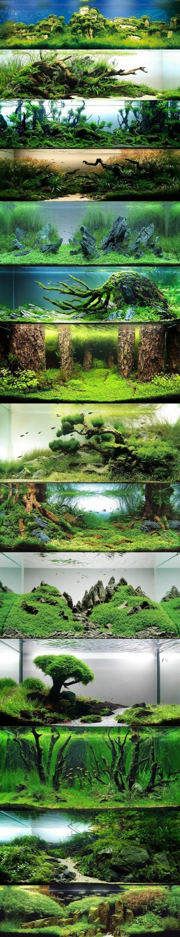 aquarium-design-best-idées-photo collage du monde avec l'eau-algues