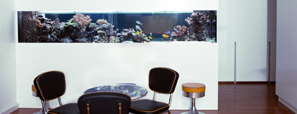 diviseur de salle d'aquarium derrière la table à manger - conception de mur blanc