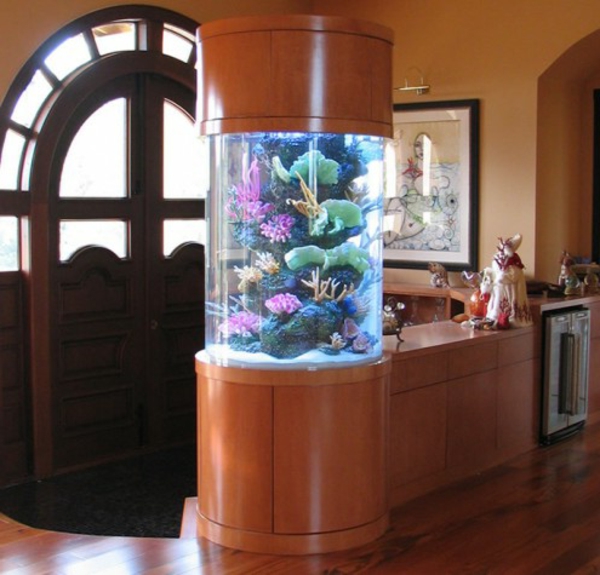 akvárium szoba osztó-a házban - egy gyönyörű ajtó