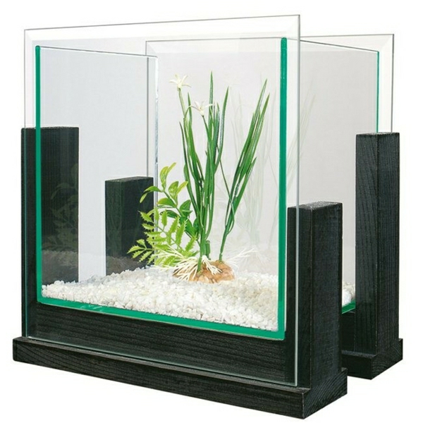 akvárium szoba osztó kis-és modern - fehér háttér