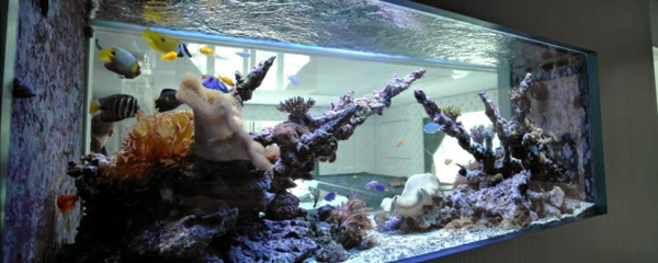 Pièces d'aquarium séparateurs créatif-look
