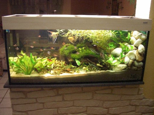cloison de salle de l'aquarium mur de pierre - look très intéressant