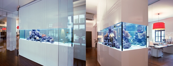 aquarium room divider deux photos - look très intéressant