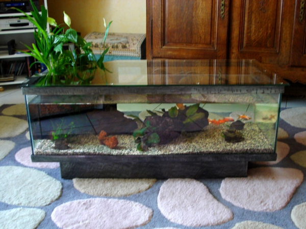मछलीघर-टेबल-ऑन-कालीन